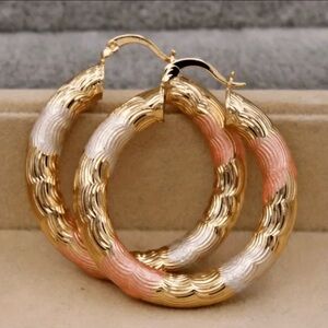 Stylish Pair of Chic O-Shaped Leverback Hoop Earrings